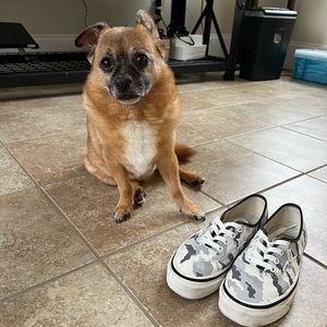 Vans camo grey 44 DX size 7.5